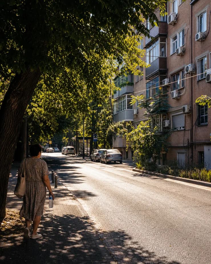 Летняя улица в тени деревьев рядом с домом, на фасаде которого установлены кондиционеры